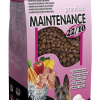 MAXIMO MAINTENANCE